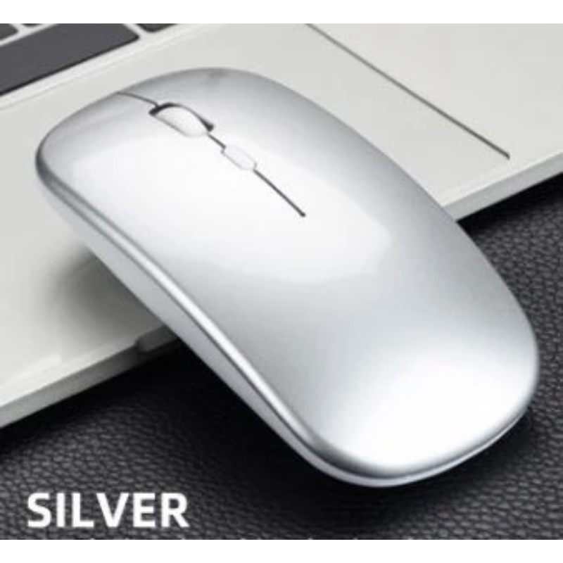 Silent wireless mouse-silver