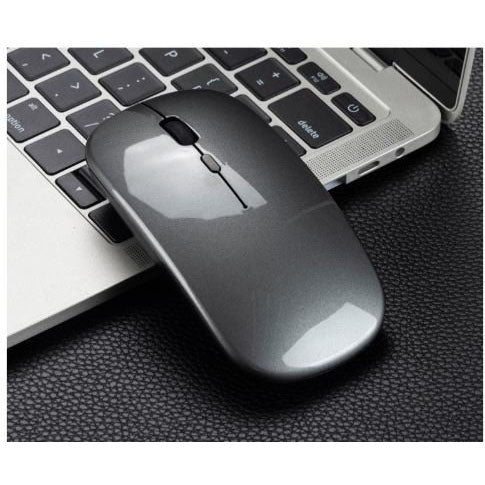 Mute wireless mouse-gray